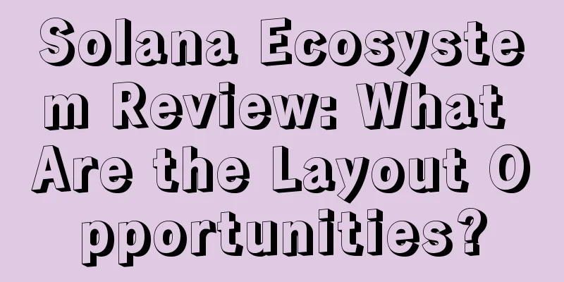 Solana Ecosystem Review: What Are the Layout Opportunities?