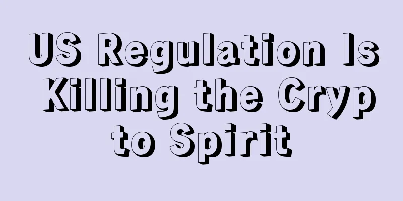US Regulation Is Killing the Crypto Spirit