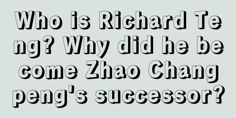 Who is Richard Teng? Why did he become Zhao Changpeng's successor?