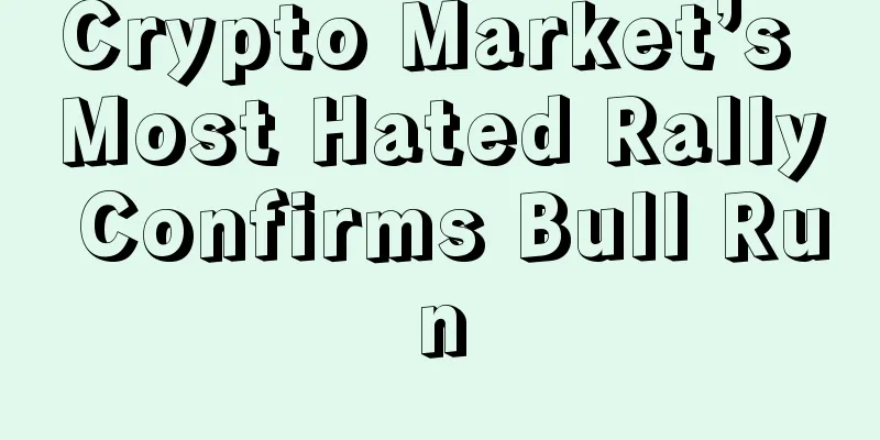 Crypto Market’s Most Hated Rally Confirms Bull Run