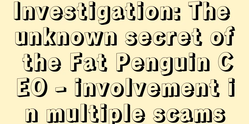 Investigation: The unknown secret of the Fat Penguin CEO - involvement in multiple scams