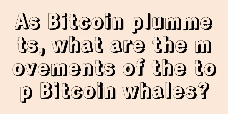 As Bitcoin plummets, what are the movements of the top Bitcoin whales?