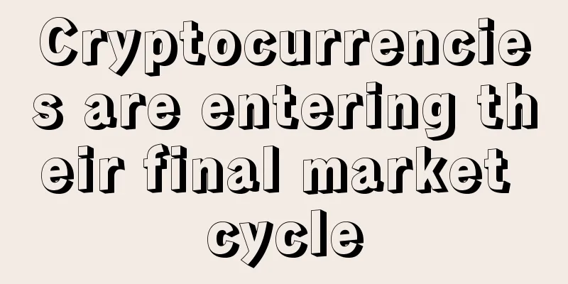 Cryptocurrencies are entering their final market cycle