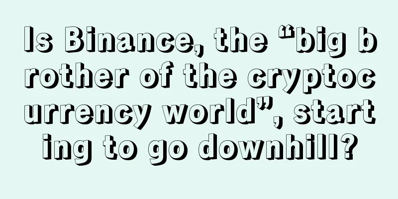 Is Binance, the “big brother of the cryptocurrency world”, starting to go downhill?
