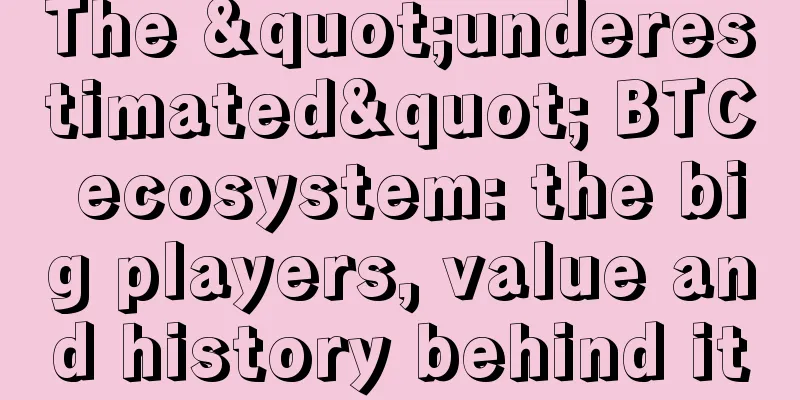 The "underestimated" BTC ecosystem: the big players, value and history behind it