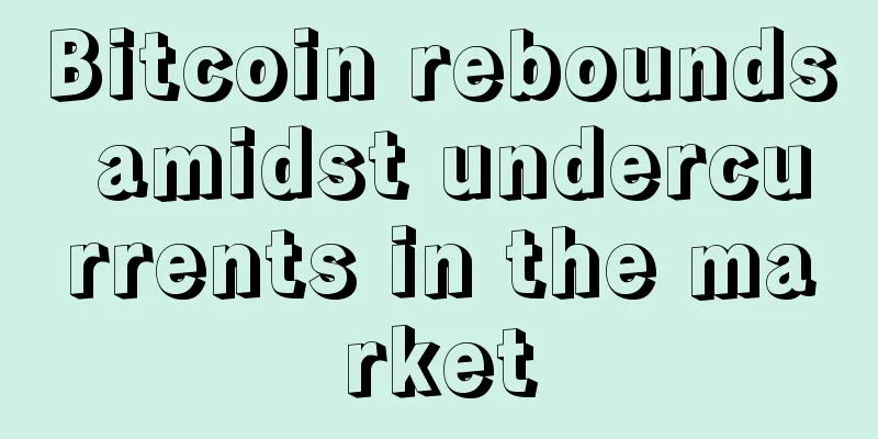 Bitcoin rebounds amidst undercurrents in the market