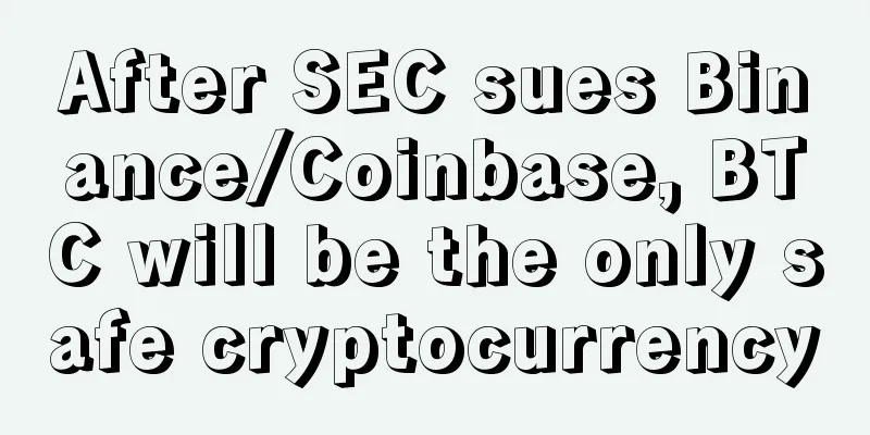 After SEC sues Binance/Coinbase, BTC will be the only safe cryptocurrency