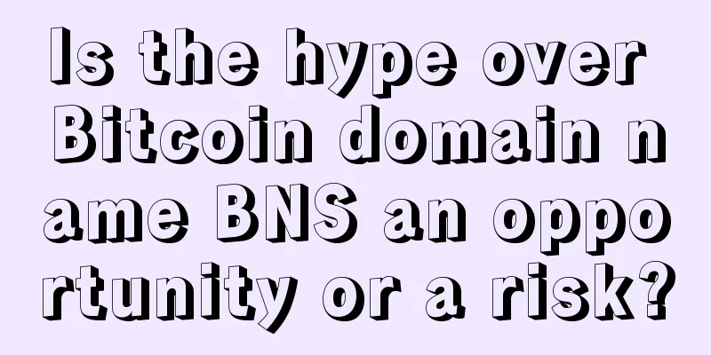 Is the hype over Bitcoin domain name BNS an opportunity or a risk?
