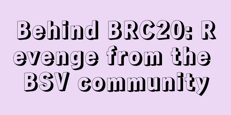 Behind BRC20: Revenge from the BSV community