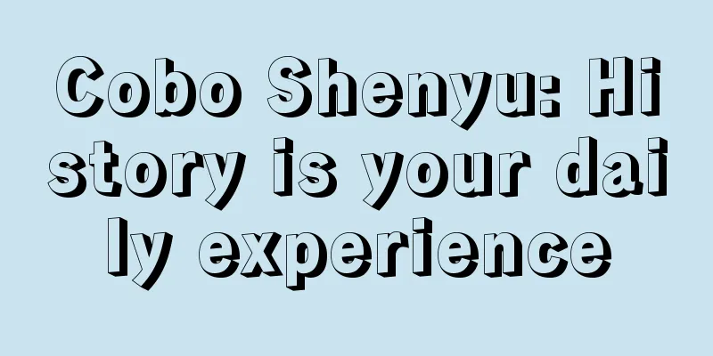 Cobo Shenyu: History is your daily experience