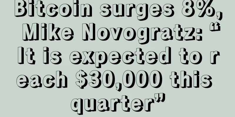Bitcoin surges 8%, Mike Novogratz: “It is expected to reach $30,000 this quarter”