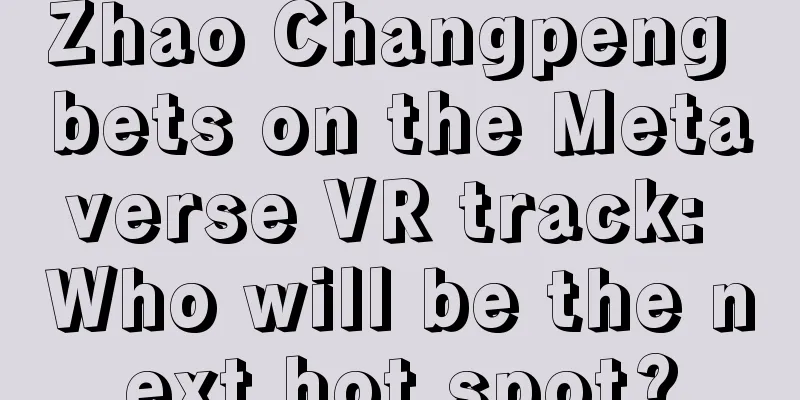 Zhao Changpeng bets on the Metaverse VR track: Who will be the next hot spot?
