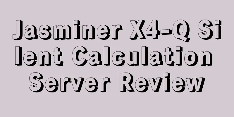 Jasminer X4-Q Silent Calculation Server Review