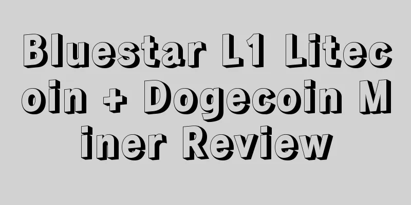 Bluestar L1 Litecoin + Dogecoin Miner Review