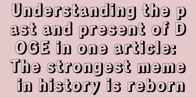 Understanding the past and present of DOGE in one article: The strongest meme in history is reborn