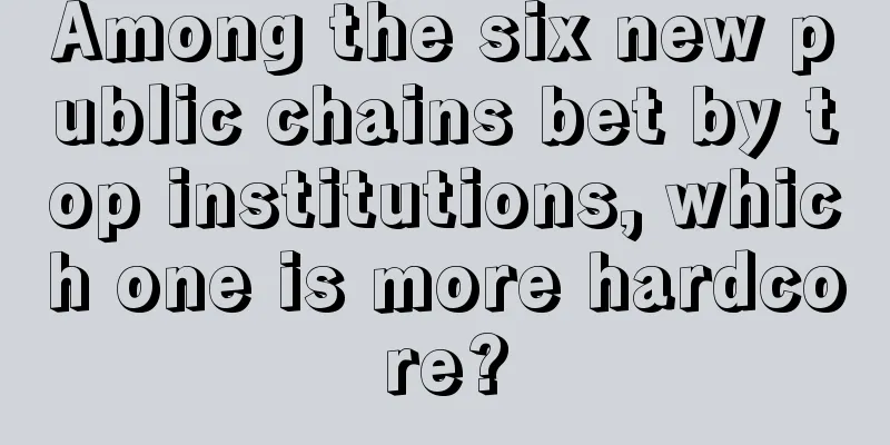 Among the six new public chains bet by top institutions, which one is more hardcore?