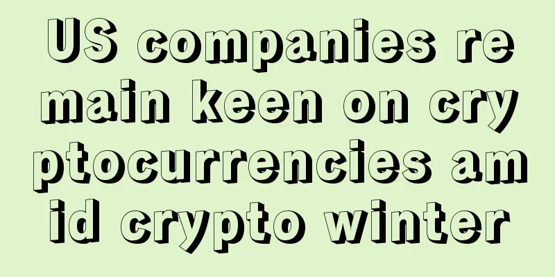 US companies remain keen on cryptocurrencies amid crypto winter