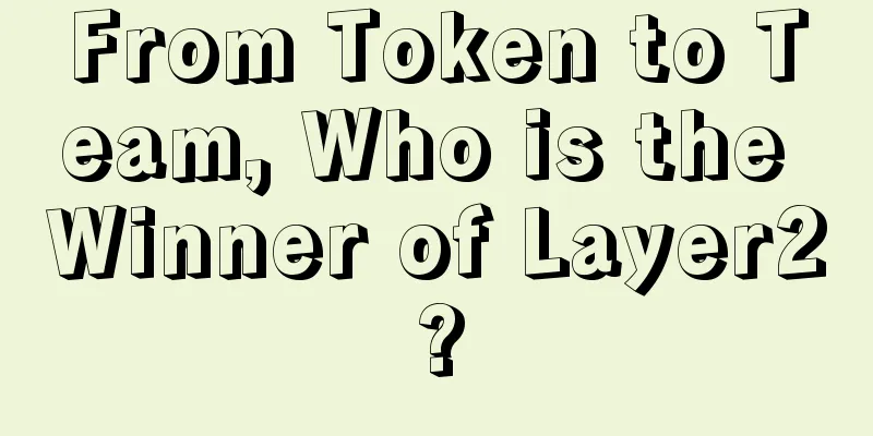 From Token to Team, Who is the Winner of Layer2?