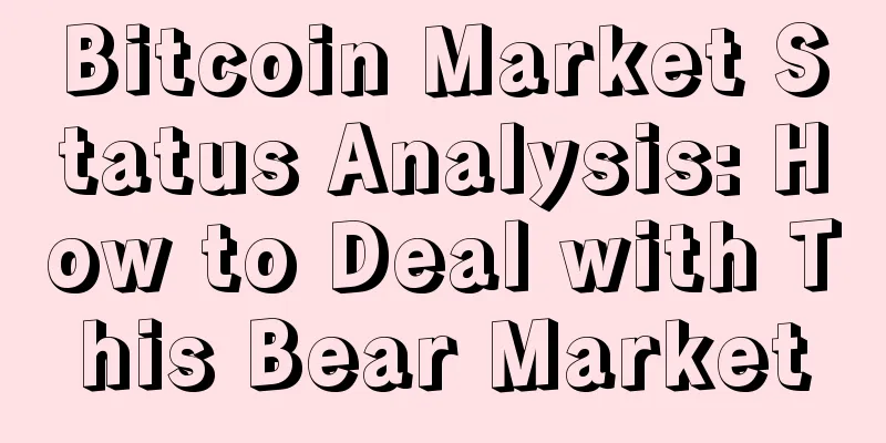 Bitcoin Market Status Analysis: How to Deal with This Bear Market