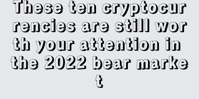 These ten cryptocurrencies are still worth your attention in the 2022 bear market