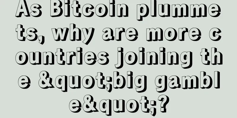 As Bitcoin plummets, why are more countries joining the "big gamble"?