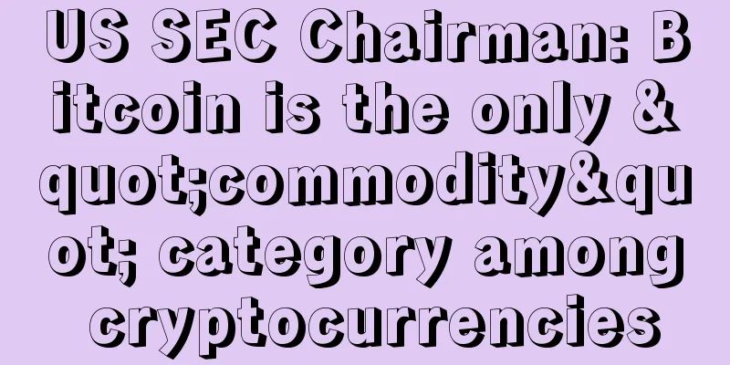US SEC Chairman: Bitcoin is the only "commodity" category among cryptocurrencies