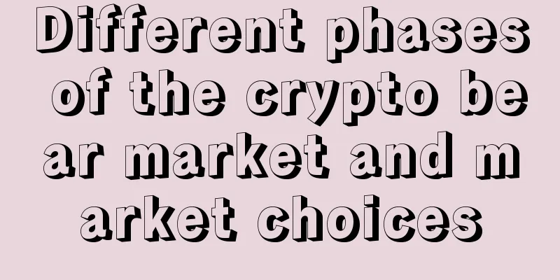 Different phases of the crypto bear market and market choices