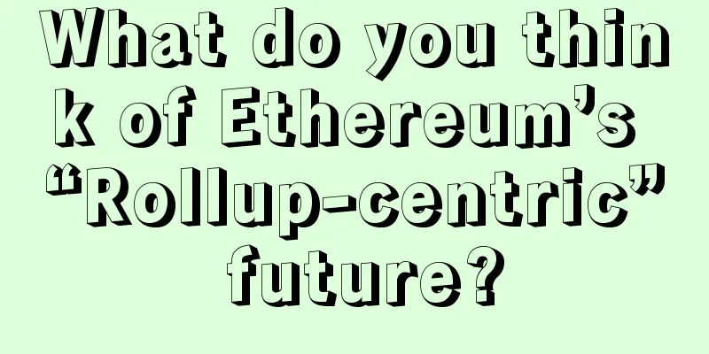 What do you think of Ethereum’s “Rollup-centric” future?