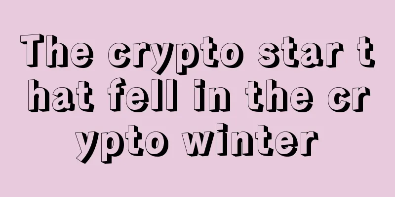 The crypto star that fell in the crypto winter