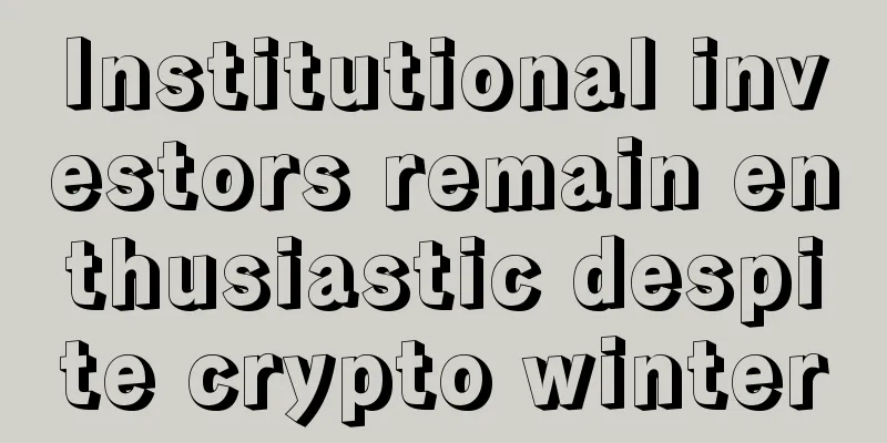 Institutional investors remain enthusiastic despite crypto winter