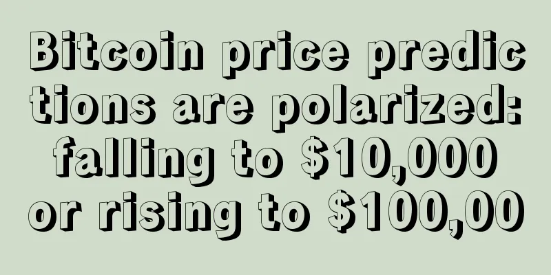 Bitcoin price predictions are polarized: falling to $10,000 or rising to $100,000