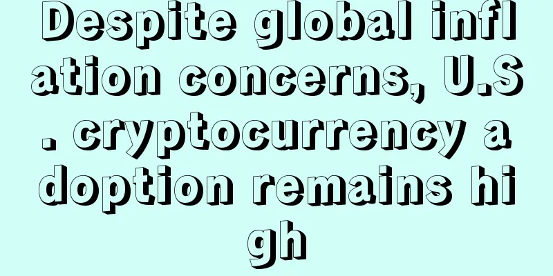 Despite global inflation concerns, U.S. cryptocurrency adoption remains high