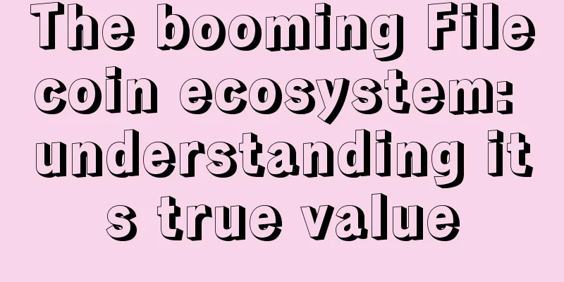 The booming Filecoin ecosystem: understanding its true value