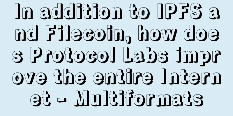 In addition to IPFS and Filecoin, how does Protocol Labs improve the entire Internet - Multiformats