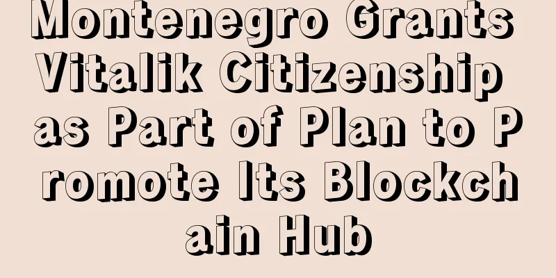 Montenegro Grants Vitalik Citizenship as Part of Plan to Promote Its Blockchain Hub
