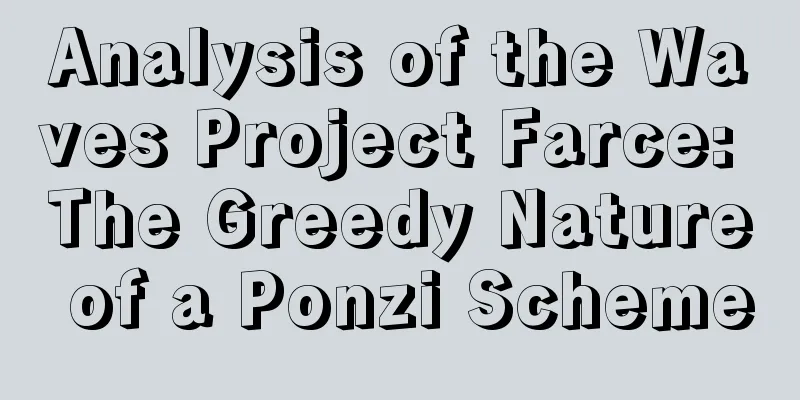 Analysis of the Waves Project Farce: The Greedy Nature of a Ponzi Scheme