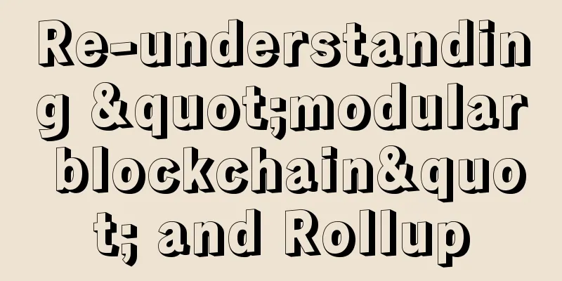 Re-understanding "modular blockchain" and Rollup