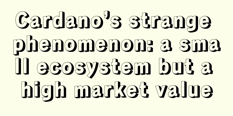 Cardano’s strange phenomenon: a small ecosystem but a high market value