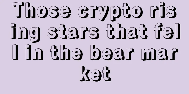 Those crypto rising stars that fell in the bear market