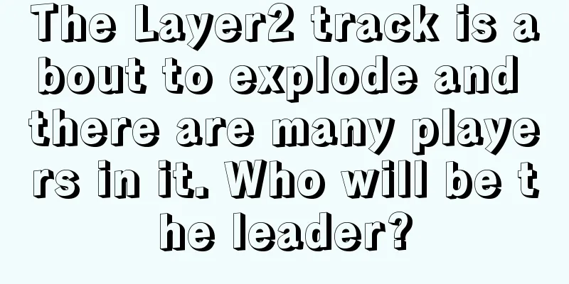 The Layer2 track is about to explode and there are many players in it. Who will be the leader?