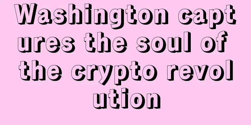 Washington captures the soul of the crypto revolution