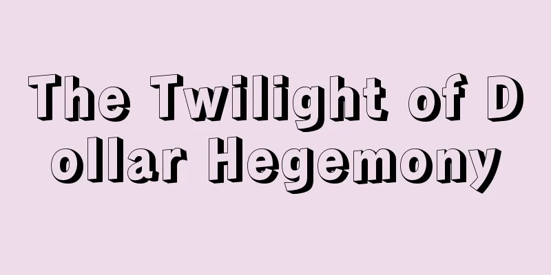The Twilight of Dollar Hegemony