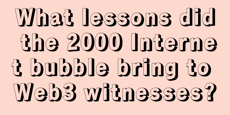 What lessons did the 2000 Internet bubble bring to Web3 witnesses?