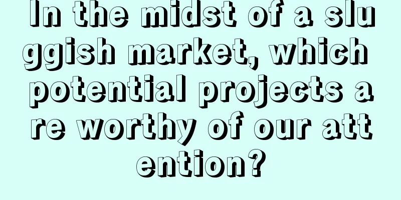 In the midst of a sluggish market, which potential projects are worthy of our attention?
