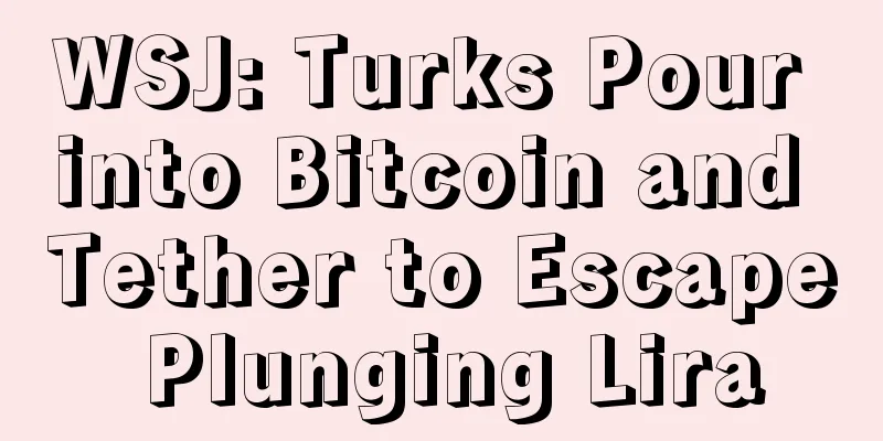 WSJ: Turks Pour into Bitcoin and Tether to Escape Plunging Lira