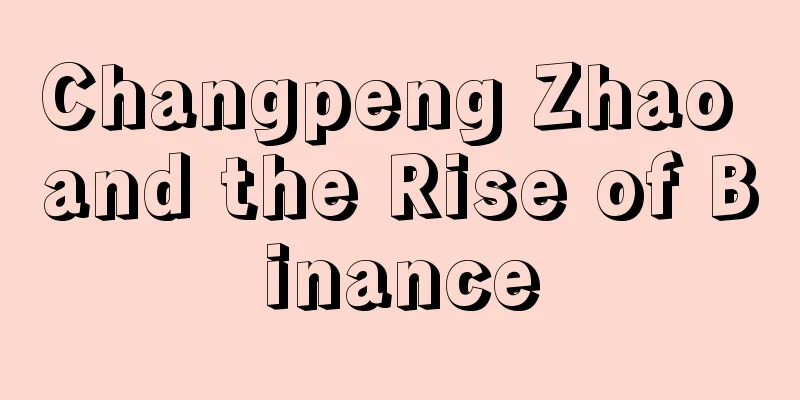 Changpeng Zhao and the Rise of Binance