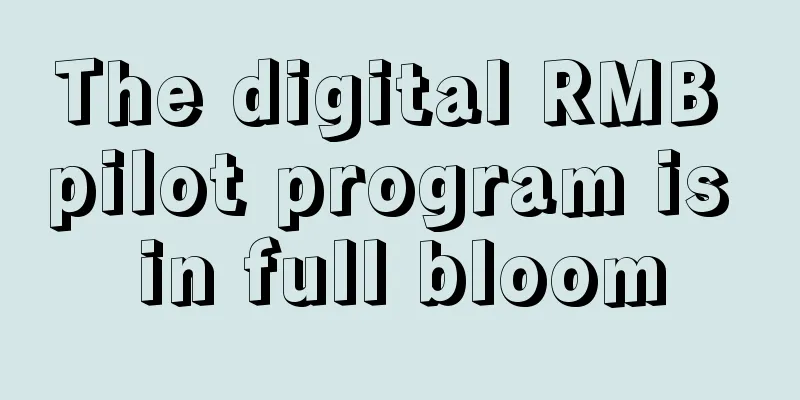 The digital RMB pilot program is in full bloom