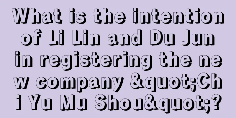What is the intention of Li Lin and Du Jun in registering the new company "Chi Yu Mu Shou"?