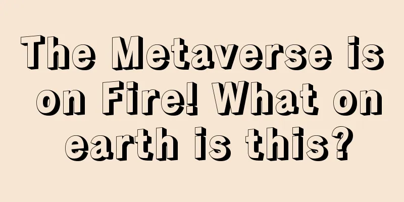 The Metaverse is on Fire! What on earth is this?