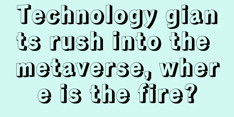 Technology giants rush into the metaverse, where is the fire?